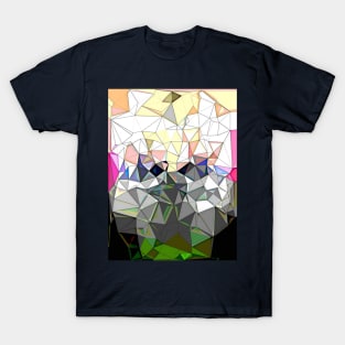 Geometry mess shirt T-Shirt